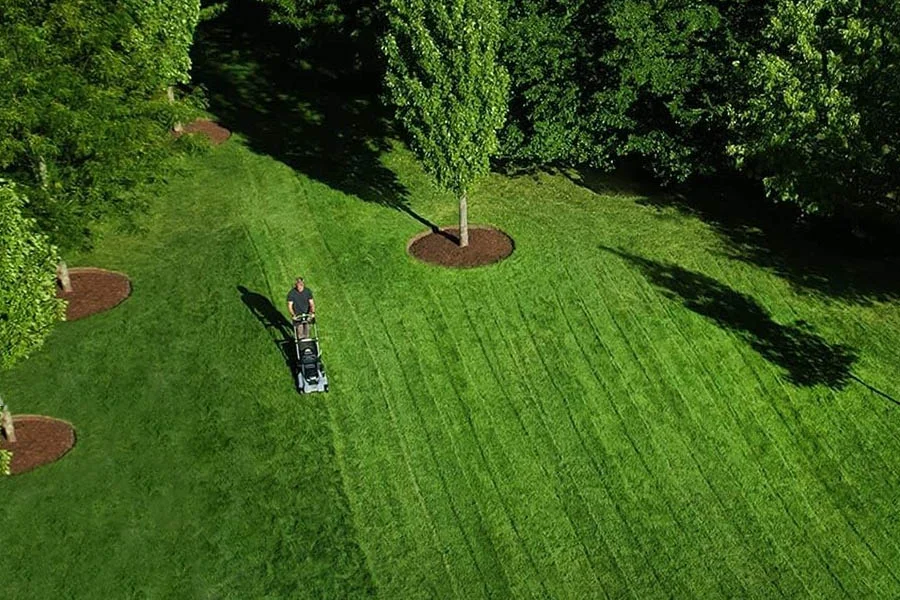 cordless electric lawnmower